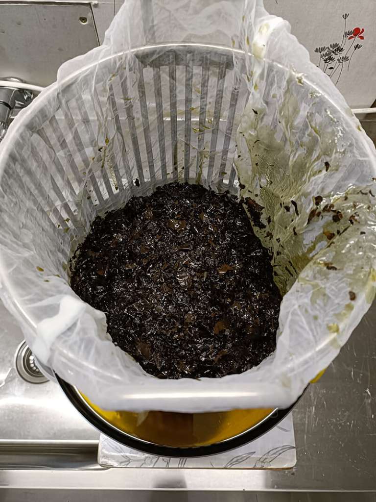 Kawakawa and Oil in the Olive Press Kawakawa and Oil in the Olive Press